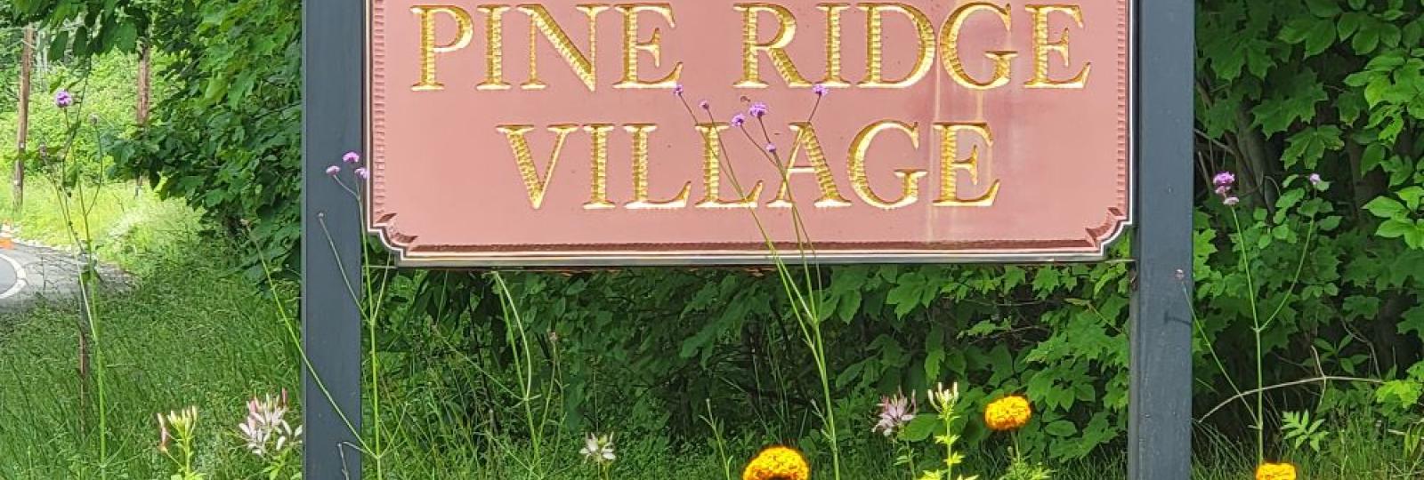 HOA & Condo Management